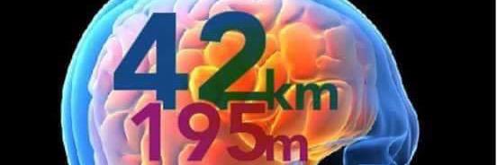 RunnerInstinct's profile banner image