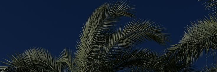 jayjeffries1of1's profile banner image