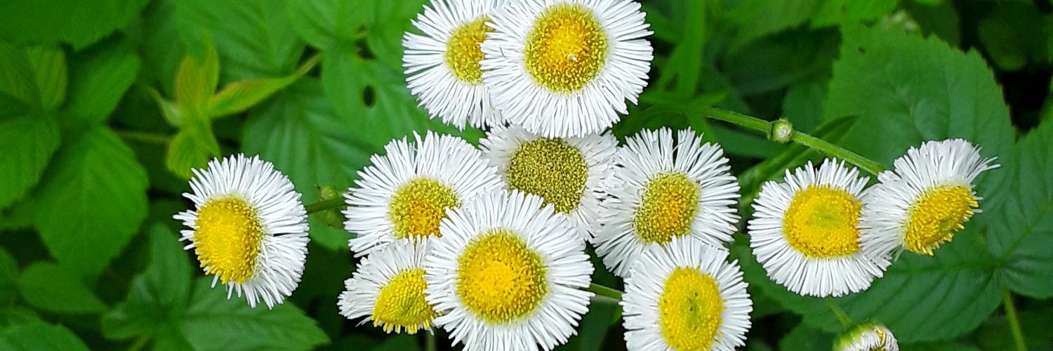 Wait...what?😷 banner