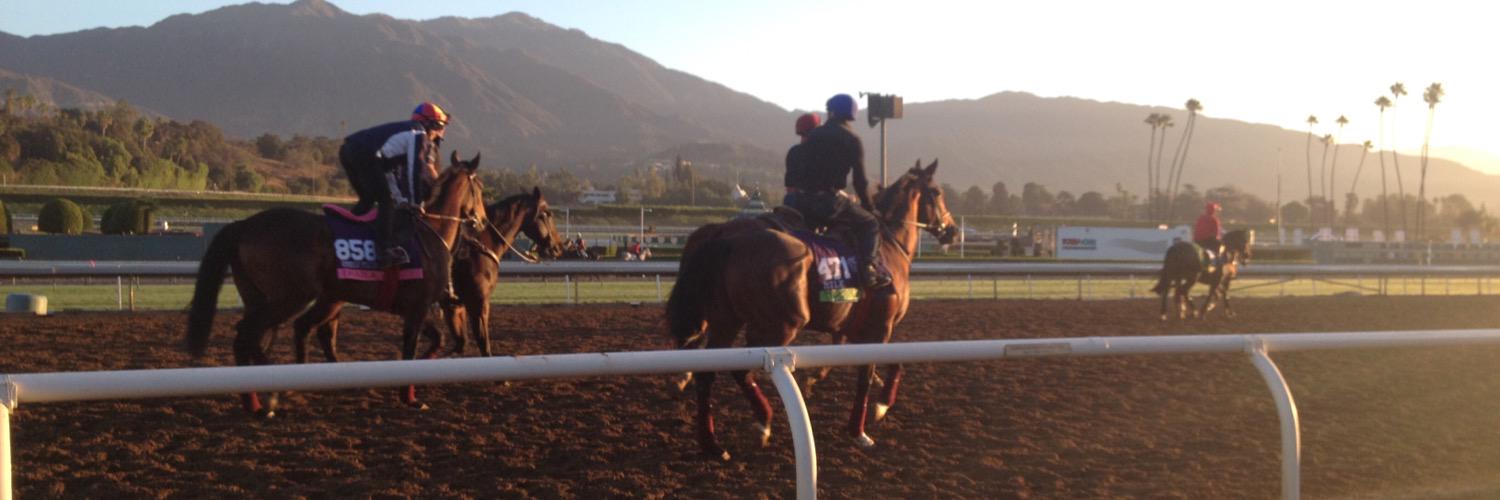 Stephane Costes banner