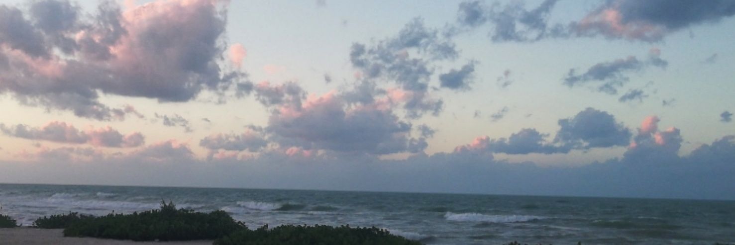 ASimoneLopez's profile banner image