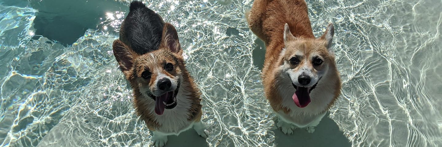 OrdinaryLeesha's profile banner image