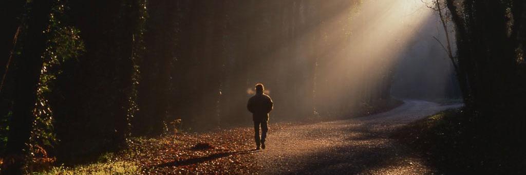 AngeltheMovie's profile banner image