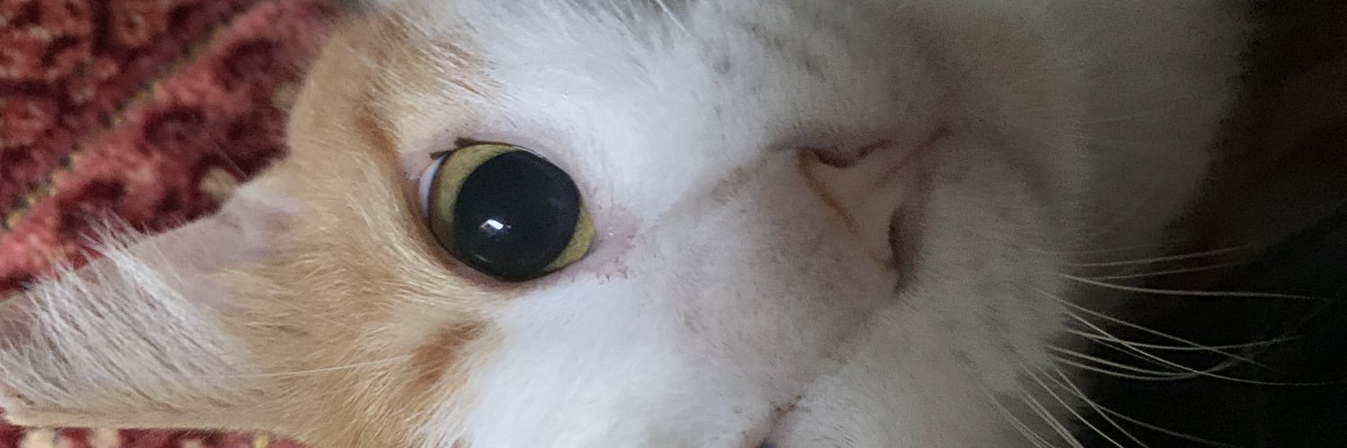 Kiki banner