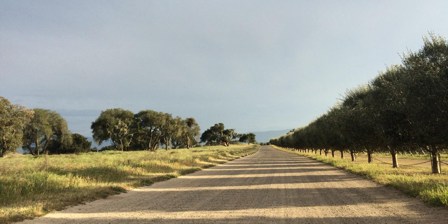 JONATA & The HILT banner