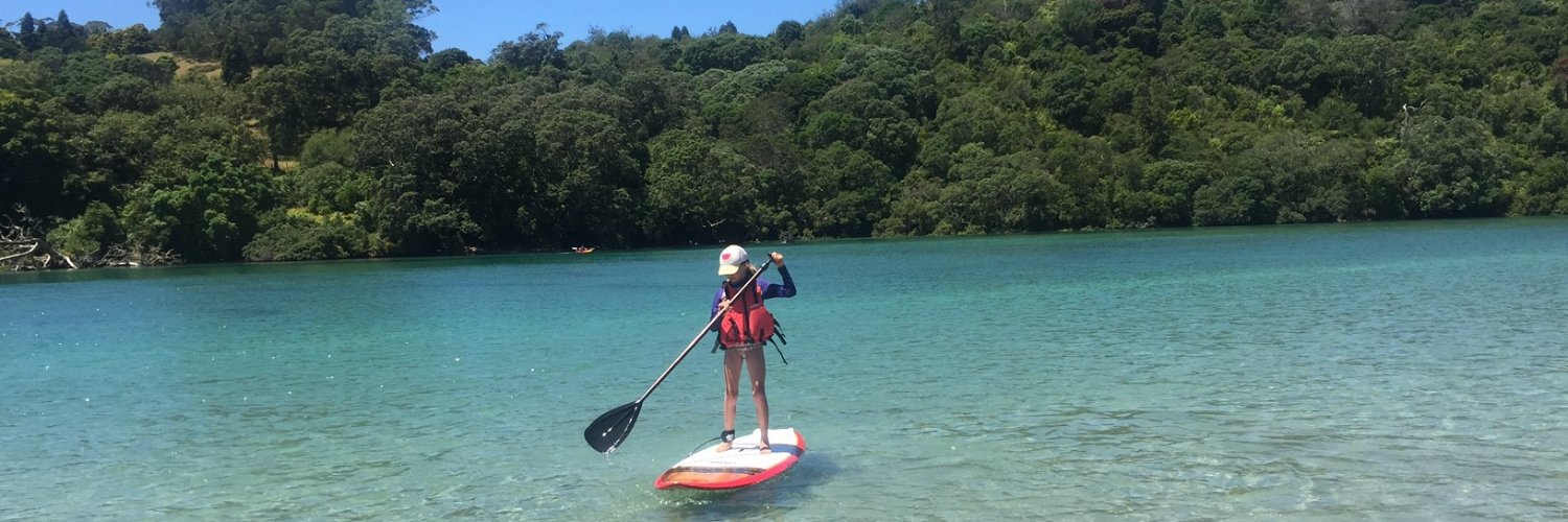 Alethea Jerebine banner