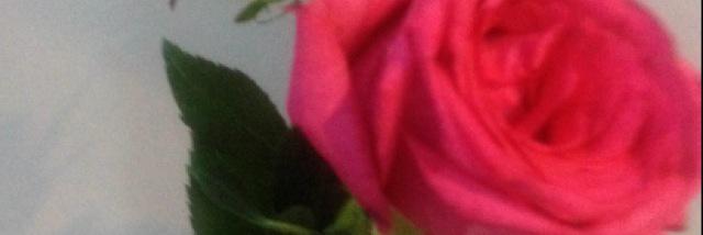 40Afnaan's profile banner image