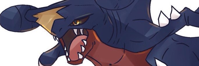 NoNopoke's profile banner image