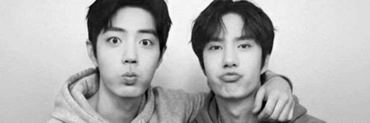 Frans Pietersz banner