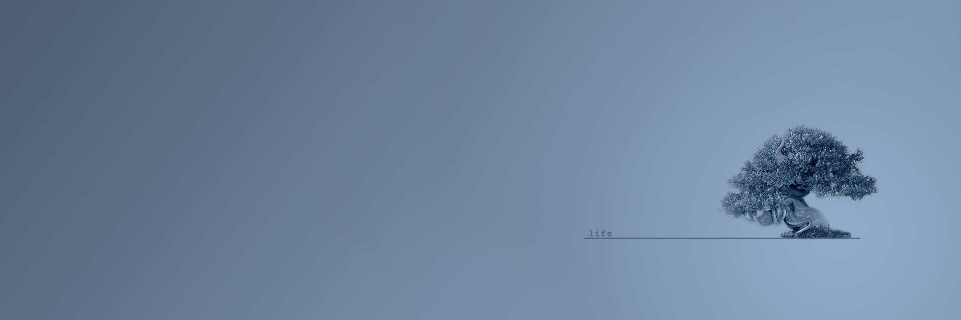 acunjose's profile banner image