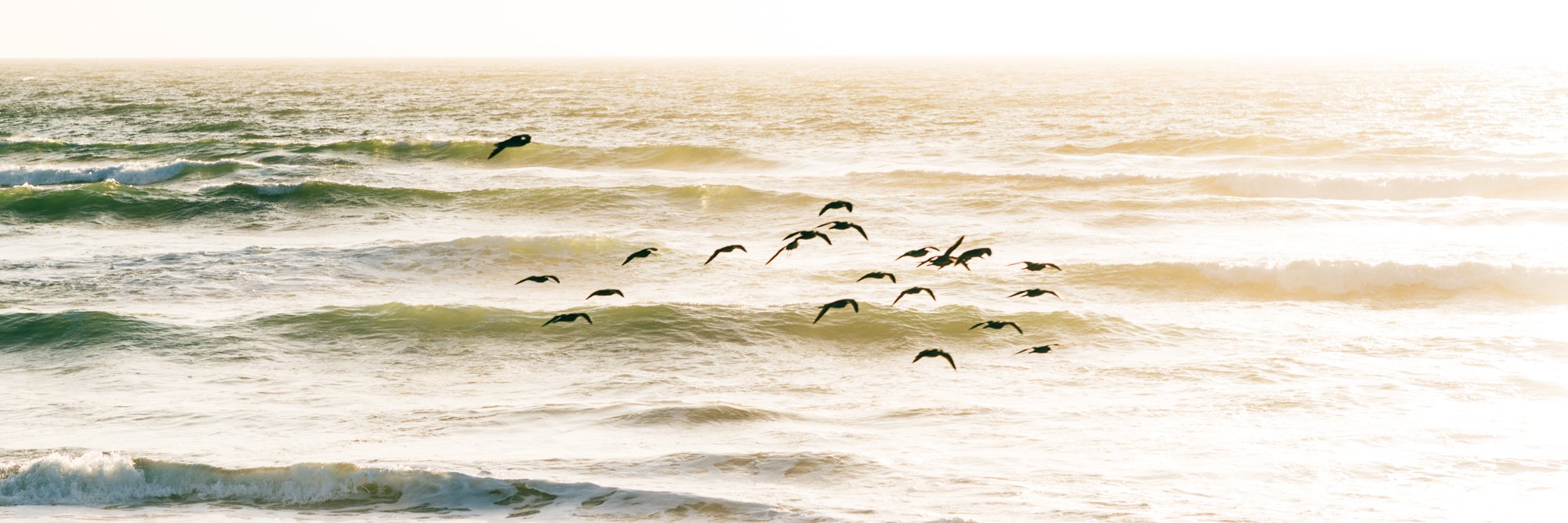 Michael Gethers banner