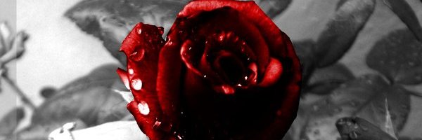 Tainted_Sin's profile banner image