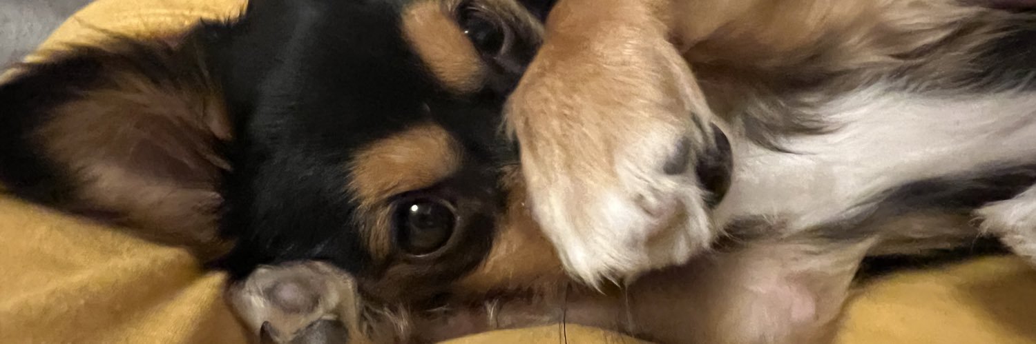 rexbeccaxjc's profile banner image