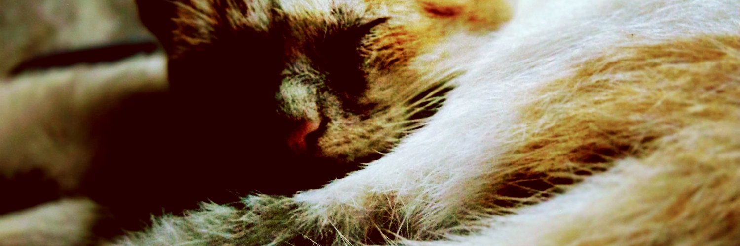 xjitme's profile banner image