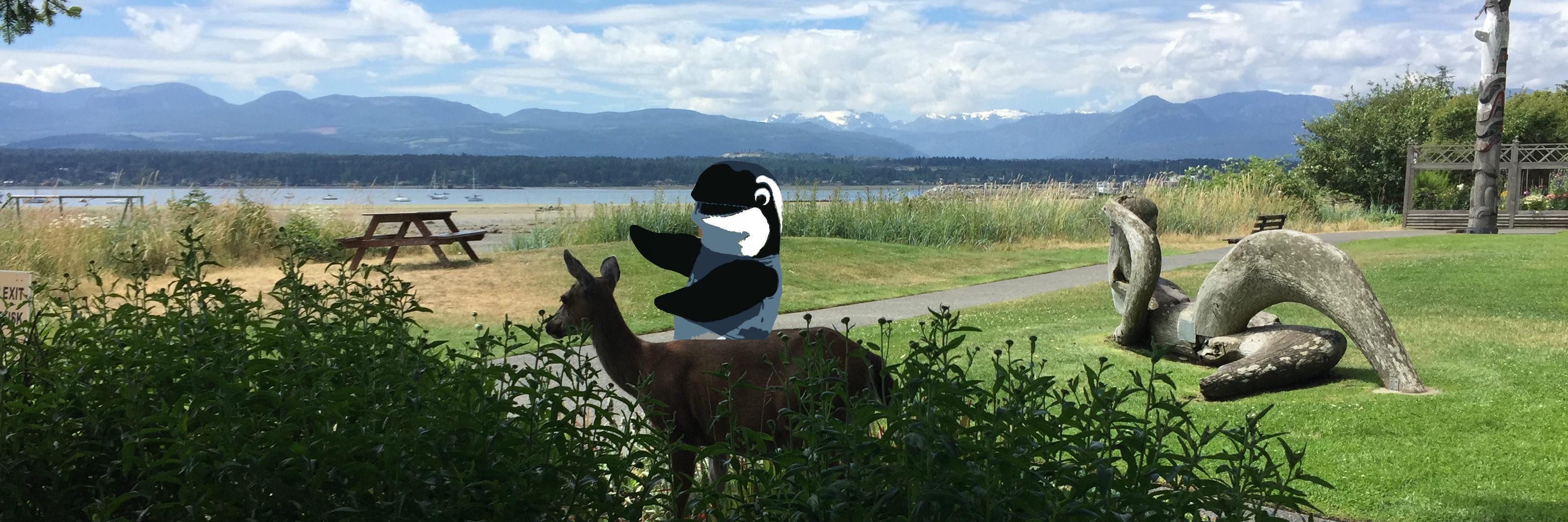 VIRLComoxValley's profile banner image