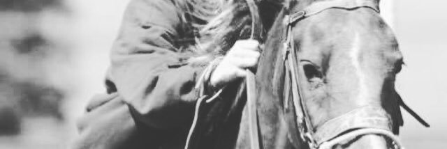 TaylorNiece's profile banner image