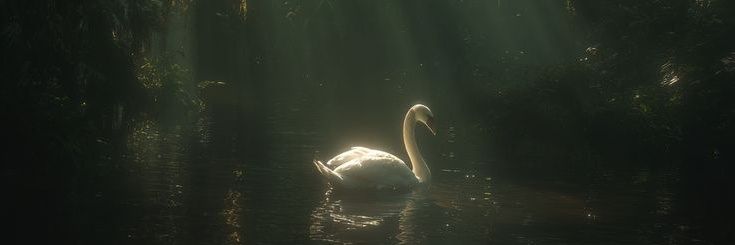 blessuim's profile banner image