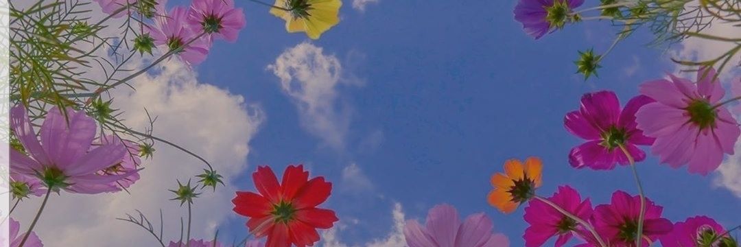 KLFDC's profile banner image