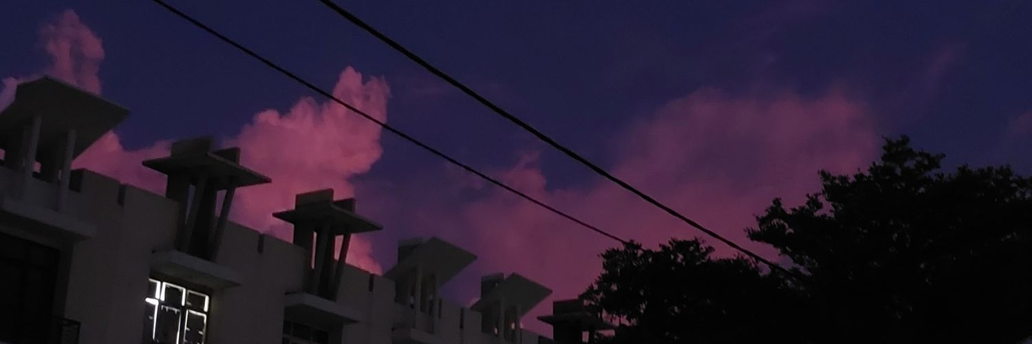 stchns's profile banner image