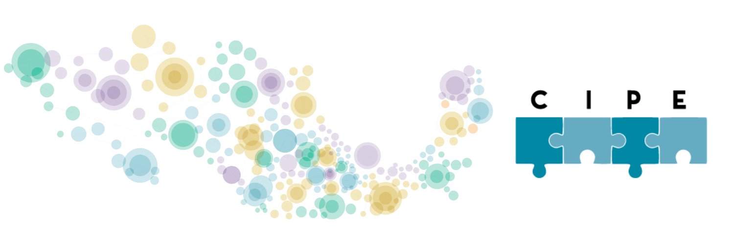 CIPE banner