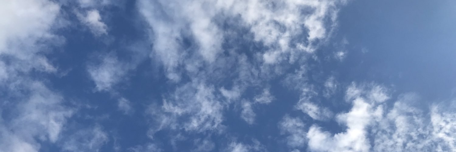 bizzle_tz's profile banner image