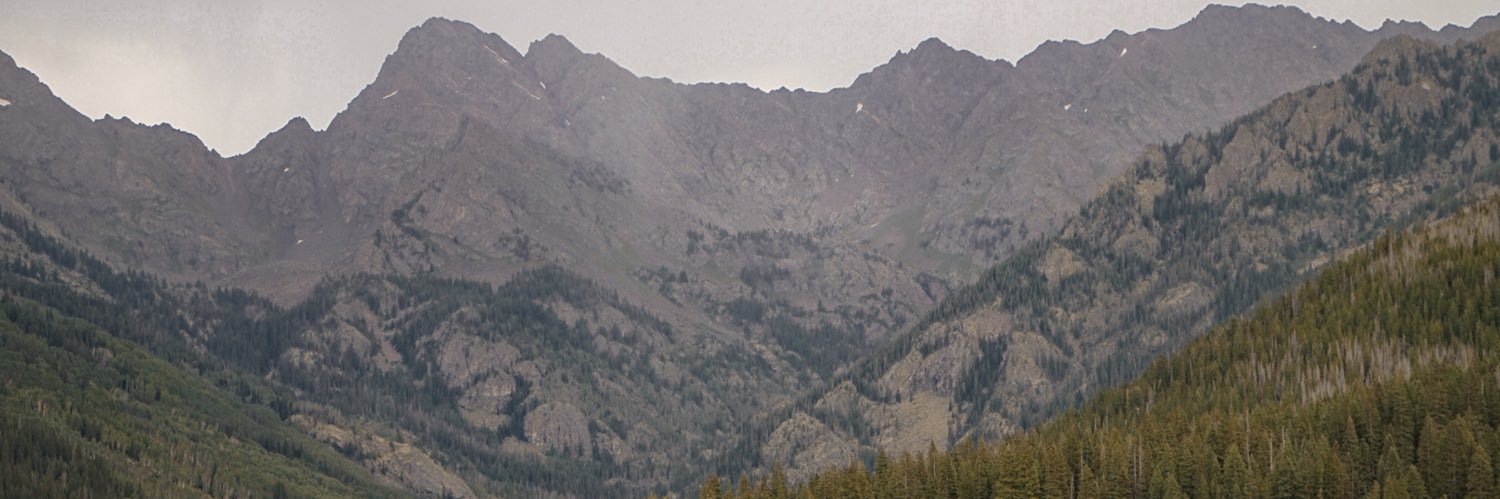 steensophia's profile banner image