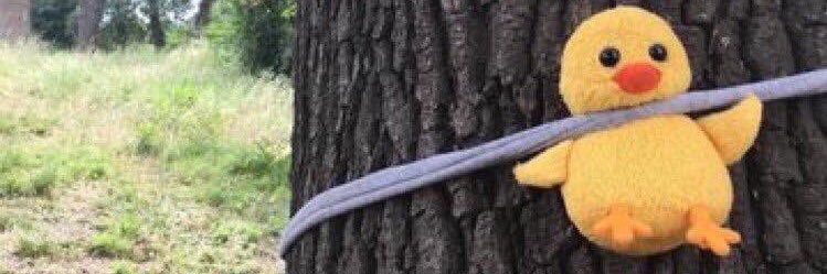 EyloBen's profile banner image