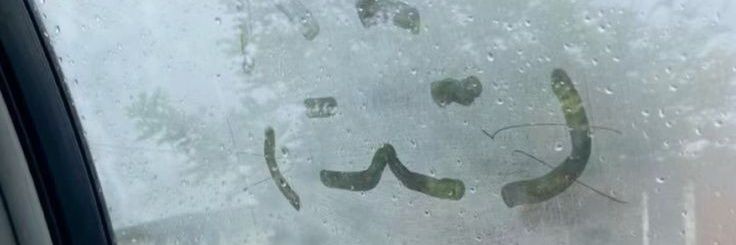 baeuszie's profile banner image