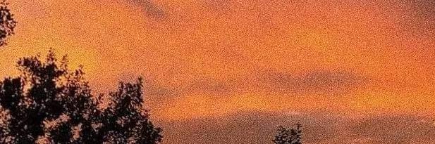 melakumell's profile banner image