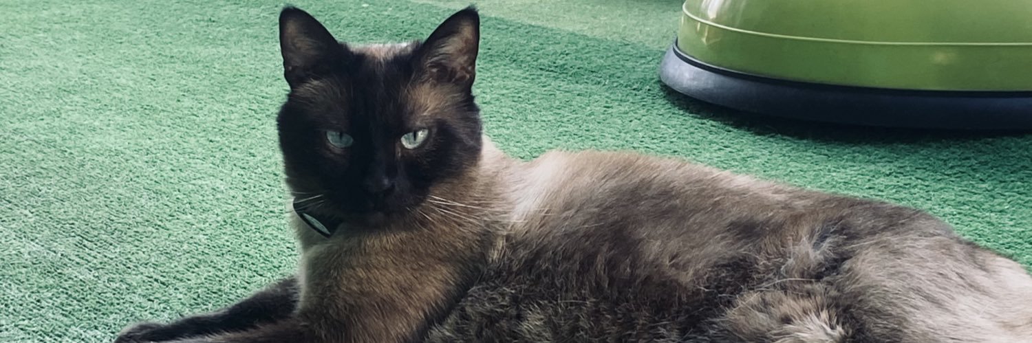 tedabla's profile banner image