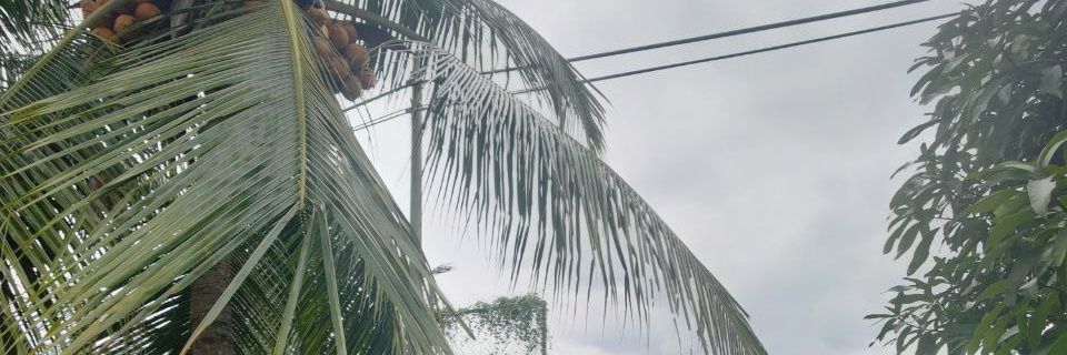 y_rdn0's profile banner image