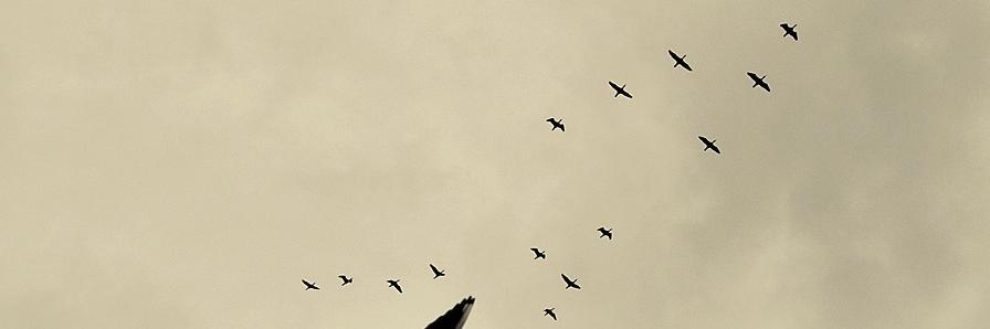 osmanyildiz_'s profile banner image