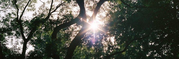 rightrume's profile banner image
