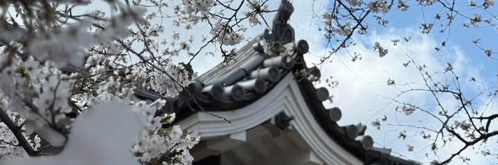 SuanGiron's profile banner image