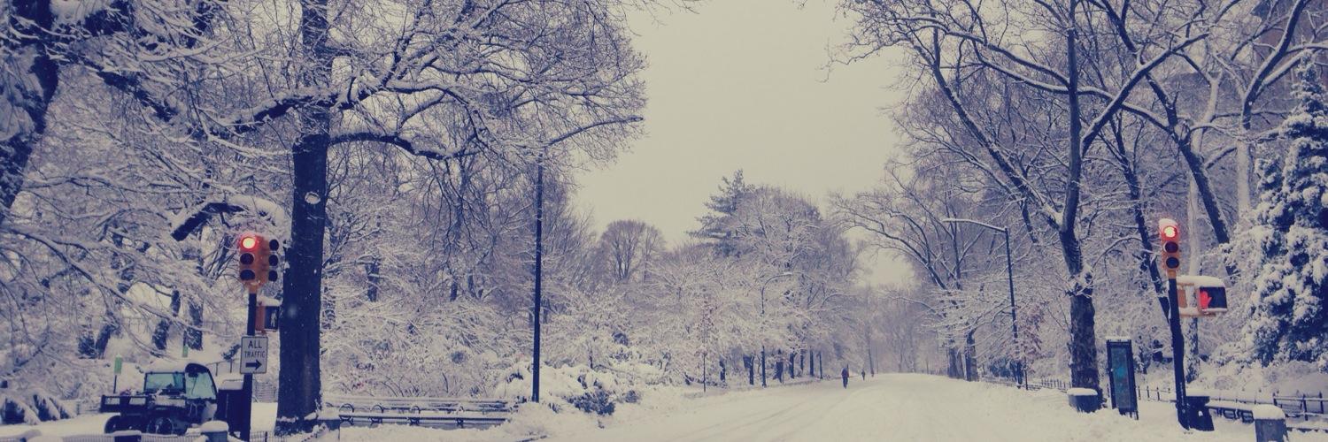 merxi's profile banner image