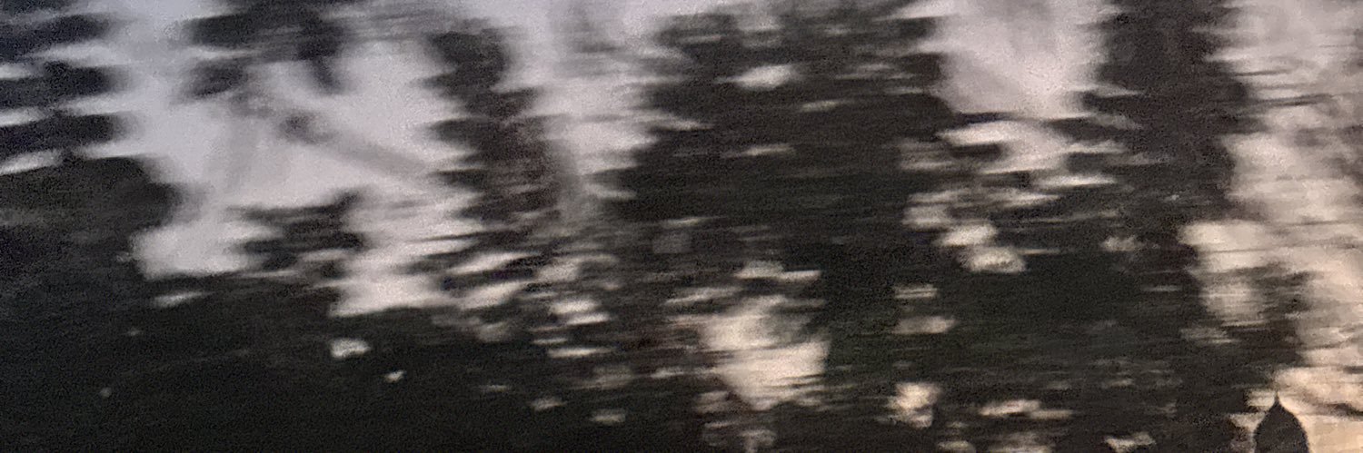 piheony's profile banner image