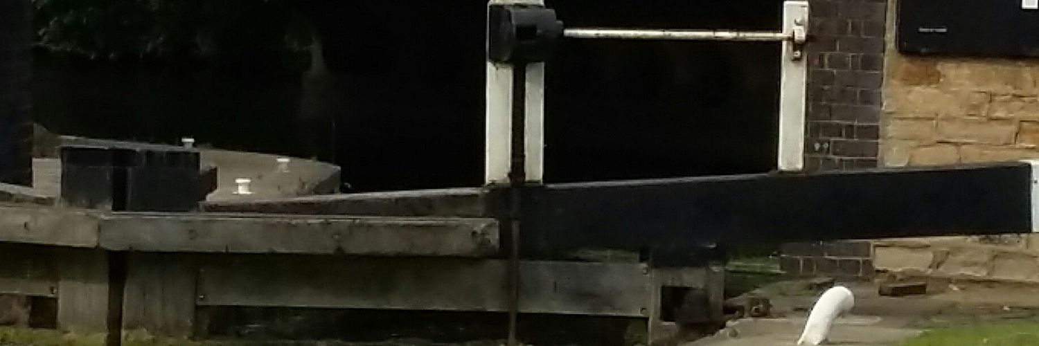 reid_lynette's profile banner image