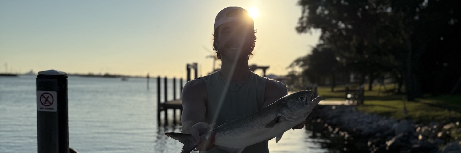 SpideyKyle11's profile banner image