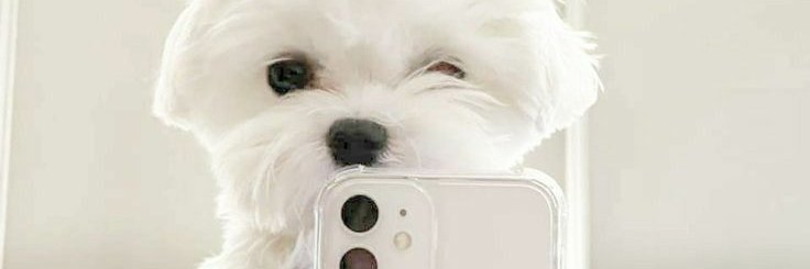 navidreamss's profile banner image