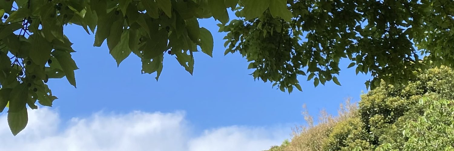 ico237's profile banner image