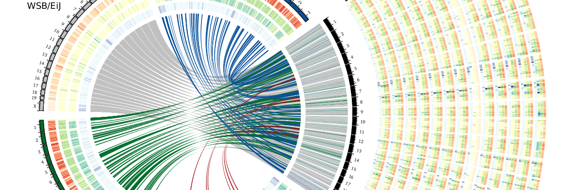 mousegenomes's profile banner image