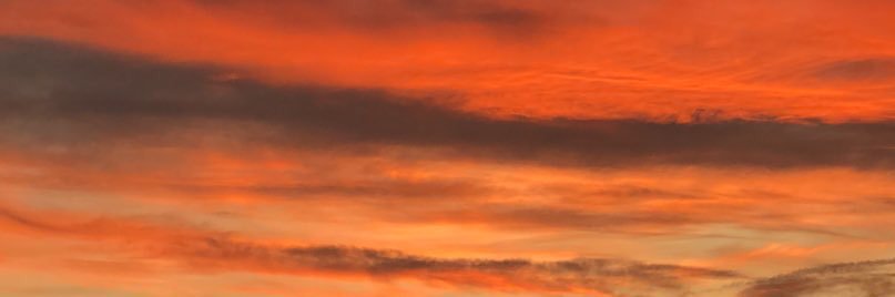 ElleEr_'s profile banner image