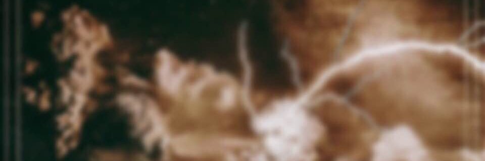 CarvedLikeKings's profile banner image