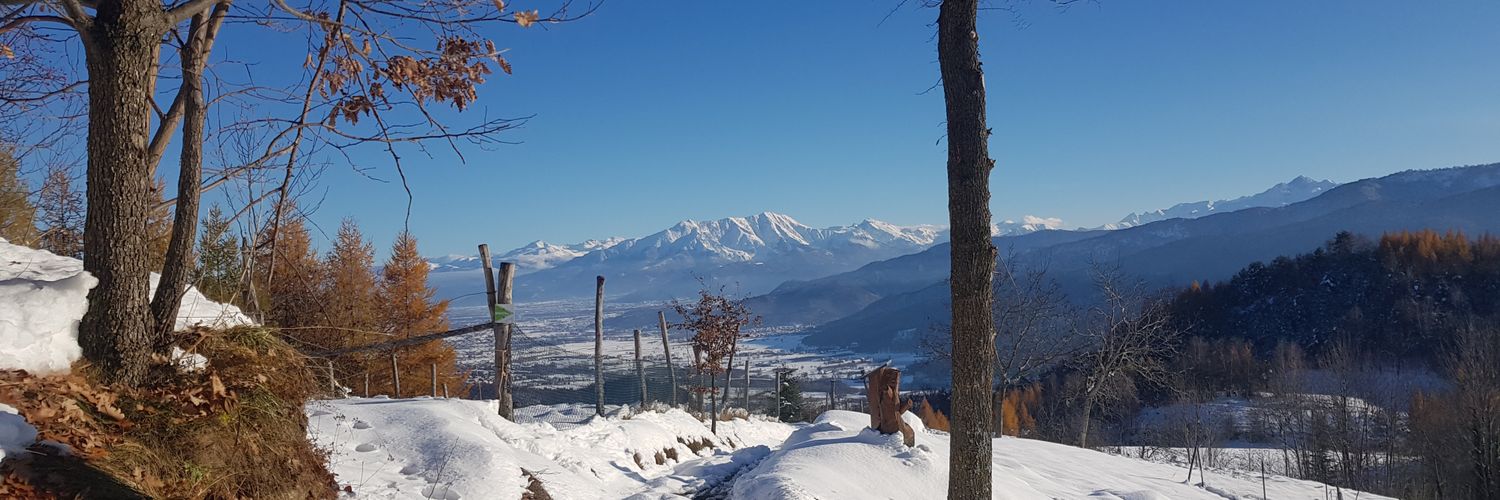 arriba87's profile banner image