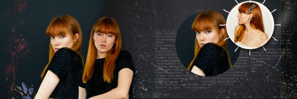 ValiantLeaena's profile banner image
