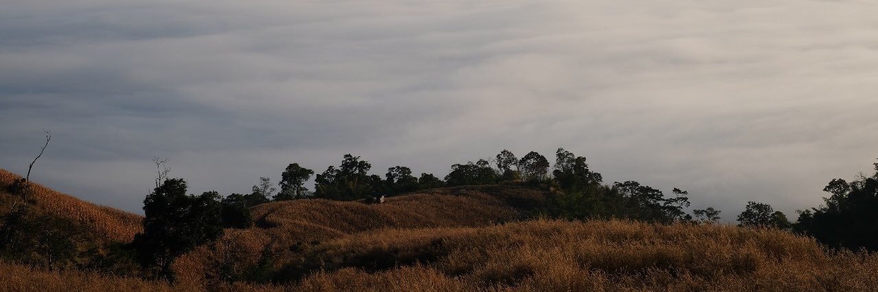 ChaneenoiCUT's profile banner image