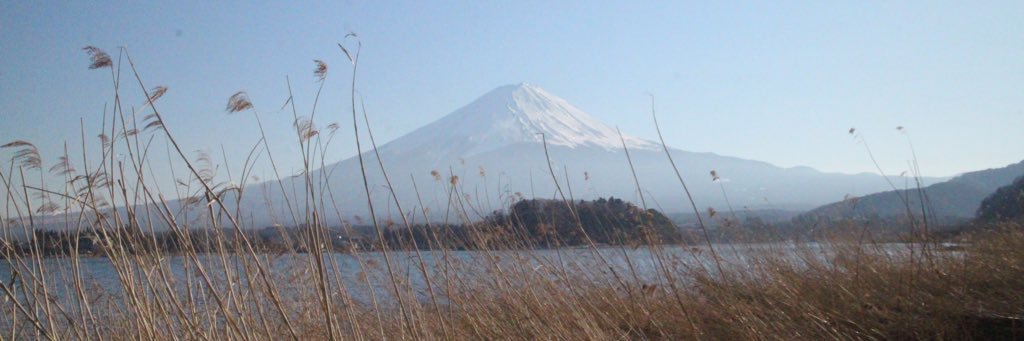 rachelars's profile banner image
