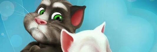 Kedi banner