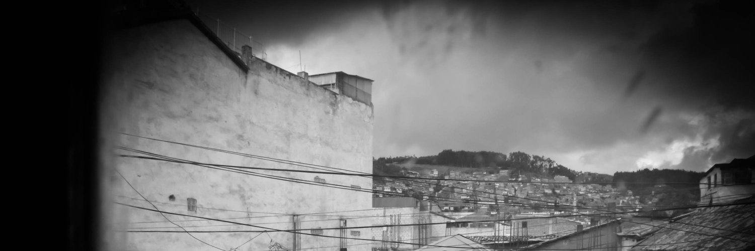 Diego Menjíbar Reynés banner
