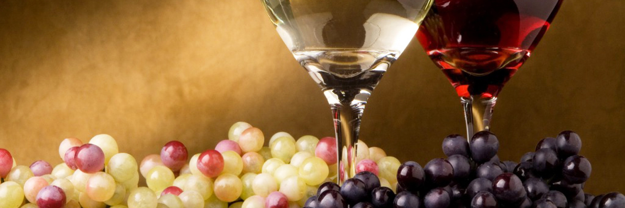 vite2vino's profile banner image